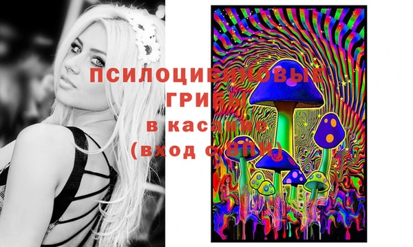 MDMA Бежецк