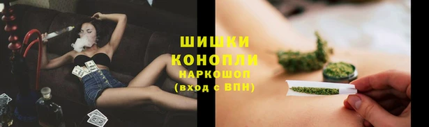 соль ск Козельск