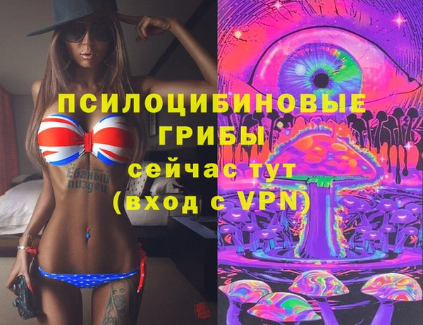 ALPHA PVP Нягань