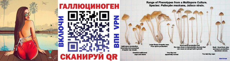 где купить наркоту  Красноперекопск  ОМГ ОМГ ссылка  Псилоцибиновые грибы Psilocybe 